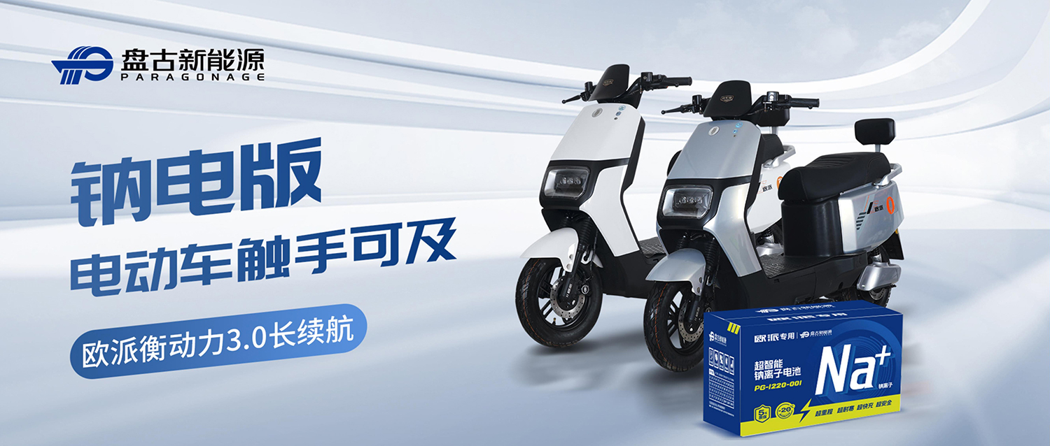 盘古X欧派：钠电版电动车上市 