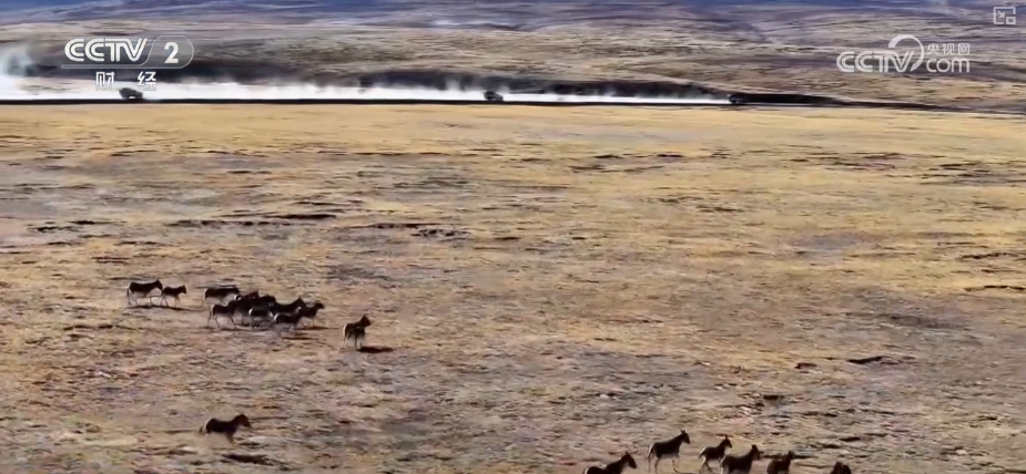 满电出发！便携式储能产品凭实力“出海”