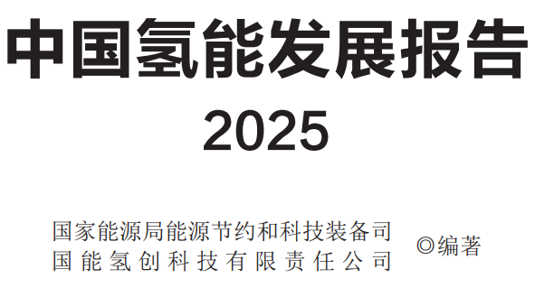 中国氢能发展报告（2025）