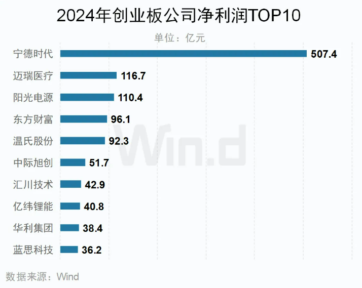 2024年创业板归母净利润TOP10公司