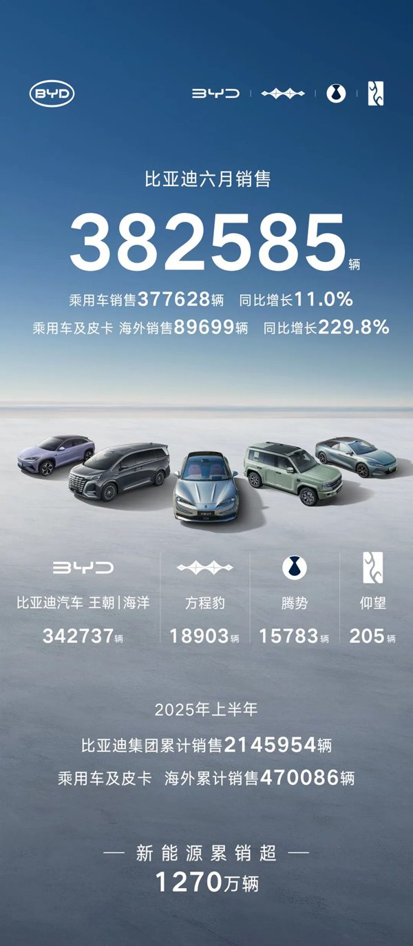 比亚迪6月产销快报数据（单位：辆）