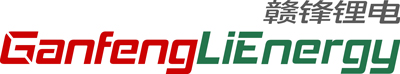 第15届（2025年）中国电池新能源行业优秀供应商：赣锋锂电