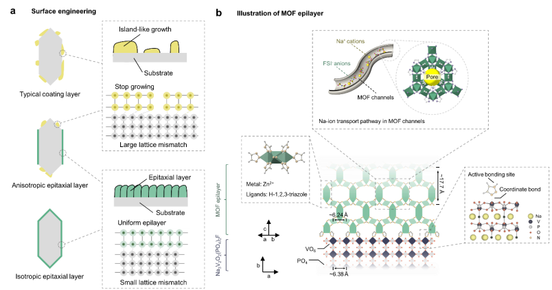 图 2｜表面工程与Na⁺传输机制示意图