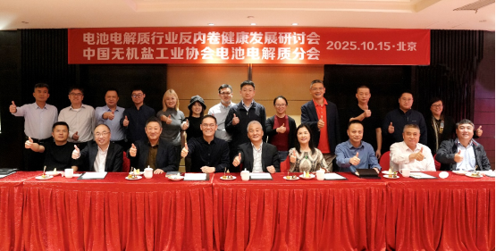 破局“内卷”!电池电解质行业健康发展研讨会发布共同倡议 破局“内卷”!电池电解质行业健康发展研讨会发布共同倡议