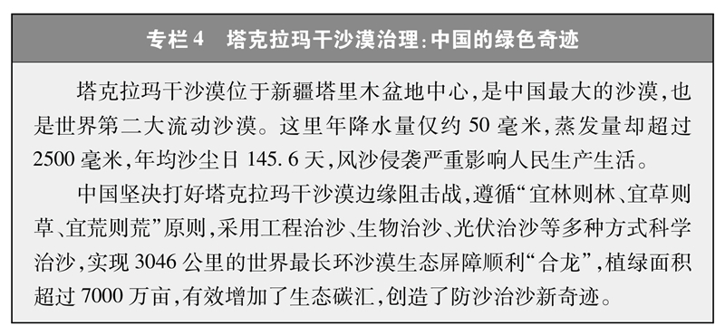 专栏四