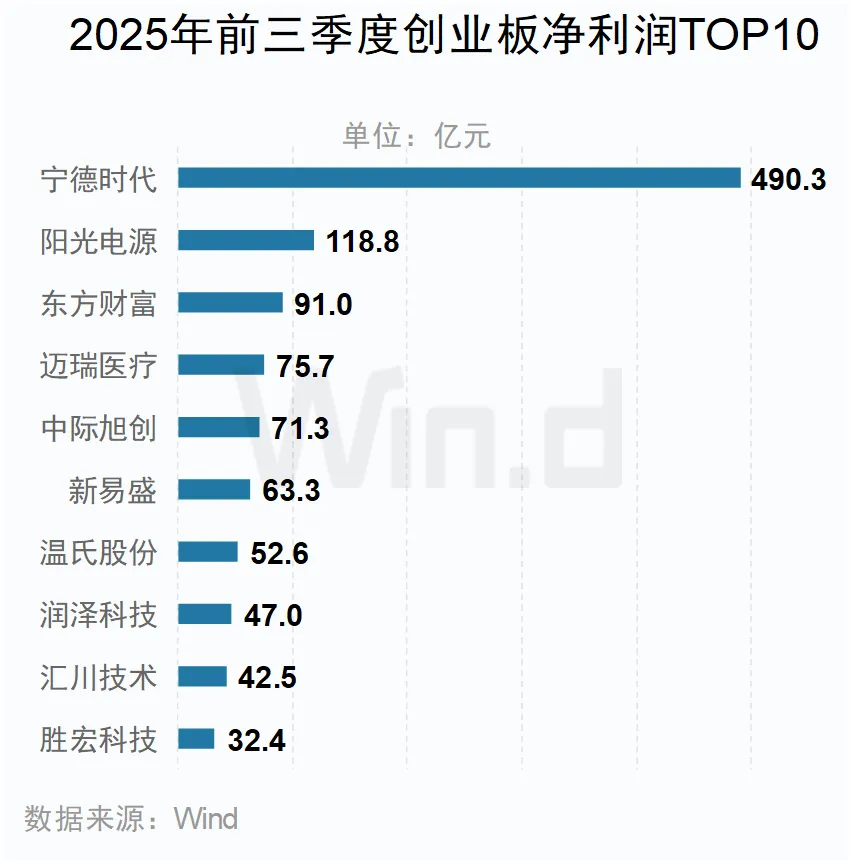 2025年前三季度创业板净利润TOP10公司