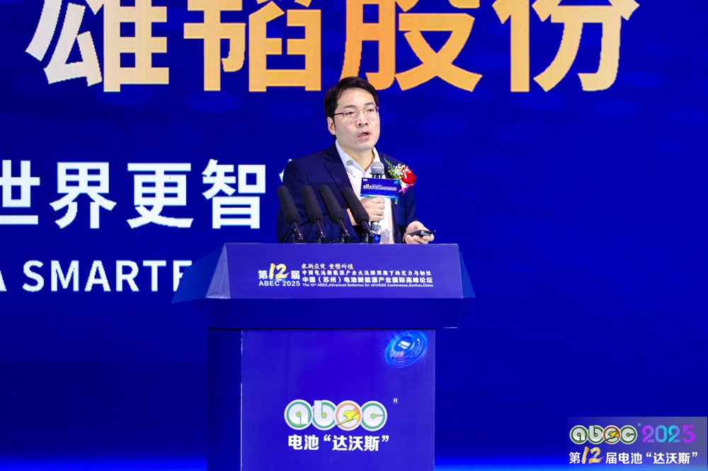 中国科学院上海硅酸盐研究所研究员、能源中心主任张涛