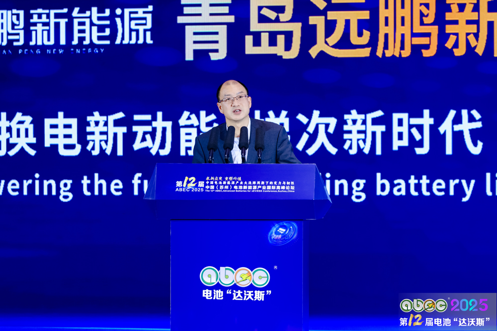 中国有色金属工业协会锂业分会副会长张江峰 中国有色金属工业协会锂业分会副会长张江峰