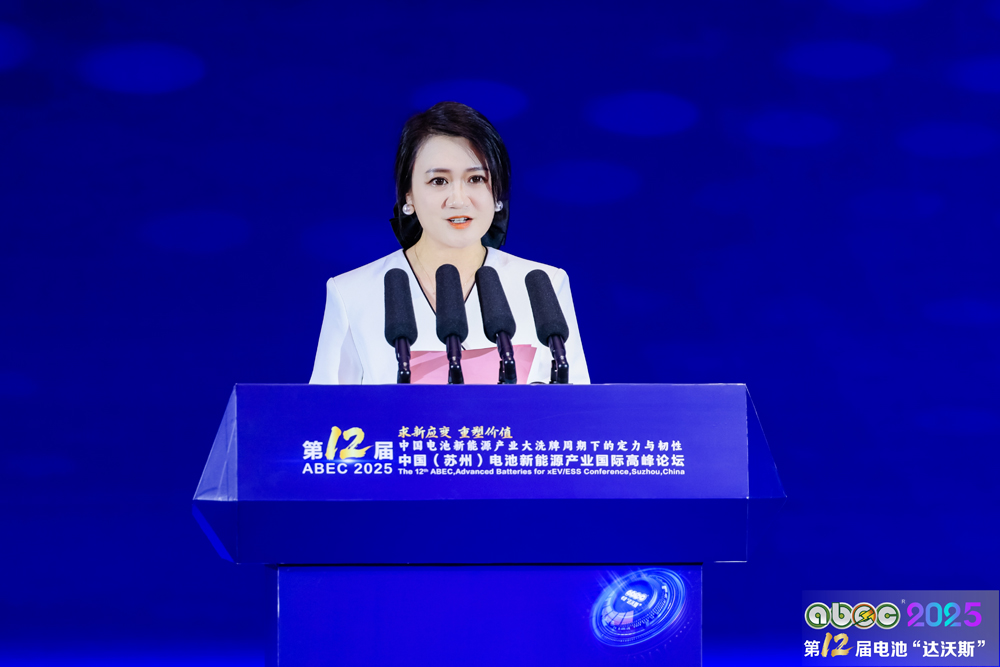 电池“达沃斯”组委会秘书长耿茜茜 电池“达沃斯”组委会秘书长耿茜茜