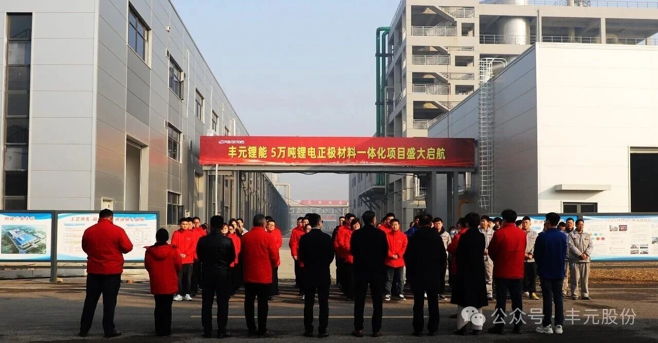 图片来源：丰元股份