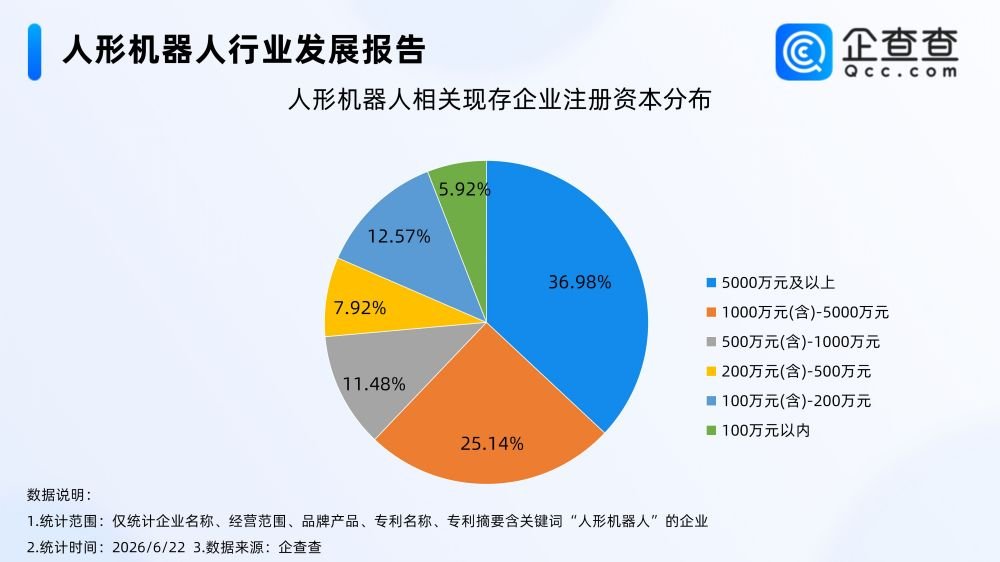 人形机器人