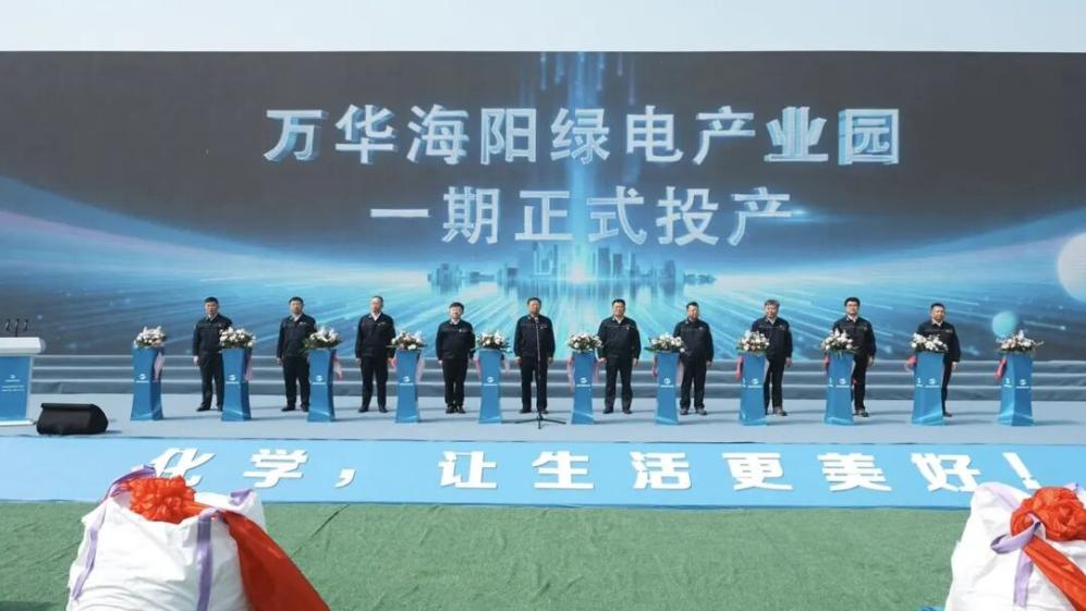 半年盈利逼近百亿大关!万华化学电池材料产业布局梳理 半年盈利逼近百亿大关!万华化学电池材料产业布局梳理