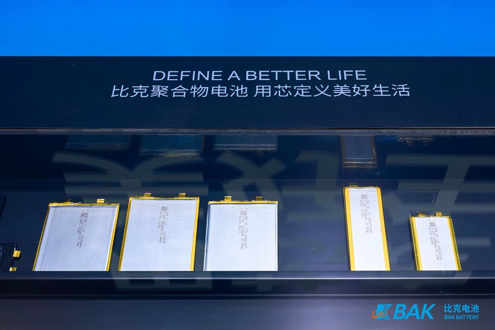 比克电池 比克电池